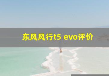 东风风行t5 evo评价